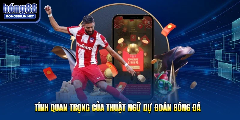 Tính quan trọng của thuật ngữ dự đoán bóng đá